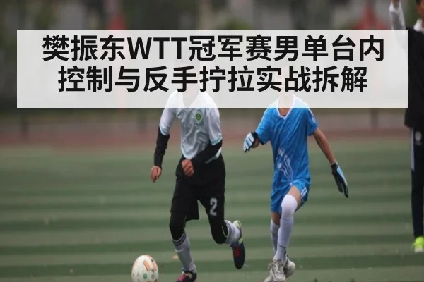 樊振东WTT冠军赛男单台内控制与反手拧拉实战拆解